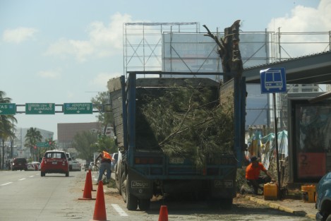 Pese a las muestras que el planeta está dando sobre los efectos del cambio climático, una empresa constructora taló un par de pinos sobre el bulevar Ruiz Cortines, justo a la entrada donde se construye un restaurante. El negocio sigue siendo primero.
