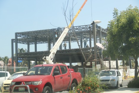 Pese a las muestras que el planeta está dando sobre los efectos del cambio climático, una empresa constructora taló un par de pinos sobre el bulevar Ruiz Cortines, justo a la entrada donde se construye un restaurante. El negocio sigue siendo primero.