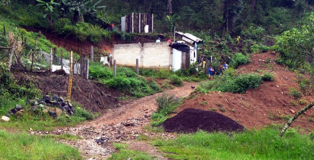 Lo paradójico del asunto es que escasos 500 metros se encuentra un asentamiento de la organización antorchista,  la cual ya cuenta con agua potable, drenaje y hasta pavimentación; de  lo que a simple vista se puede ver que carecen los habitantes de La Isla.