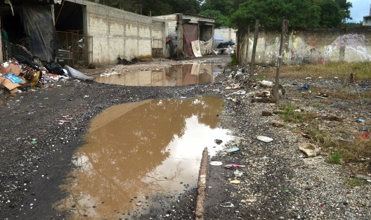 Pobladores de la colonia de La Isla, la cual está justo al lado de El Troncal, sobreviven en este sitio desde hace varios años sin que las autoridades de gobierno los tomen en cuenta, tan es así que sus calles no tienen nombre.
