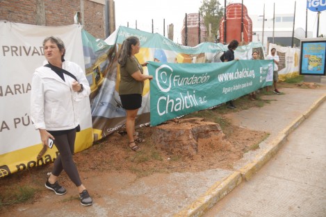 Este miércoles, activistas se manifestaron contra la tala de dos pinos que autorizó el ayuntamiento de Boca del Río. Olga Díaz Ordaz, presidenta de la Fundación Chalchi, encabezó la protesta y exigió a los responsables que dejen de atentar contra los recursos naturales.
