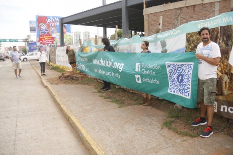 Este miércoles, activistas se manifestaron contra la tala de dos pinos que autorizó el ayuntamiento de Boca del Río. Olga Díaz Ordaz, presidenta de la Fundación Chalchi, encabezó la protesta y exigió a los responsables que dejen de atentar contra los recursos naturales.