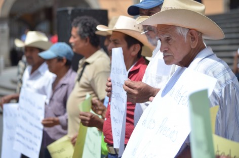 Cafeticultores de la región de Coatepec realizan asamblea informativa y plantón en Plaza Lerdo para pedir cuentas al gobierno, quien los ha mantenido marginados de los apoyos al campo.  