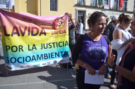 Integrantes de La Vida entregaron este día un oficio en Palacio de Gobierno para pedirle se opongan a la instalación de empresas mineras en el estado de Veracruz, ya que representan un peligro para el ecosistema y la población. Luego de ello realizaron un pequeño plantón en Plaza Lerdo.