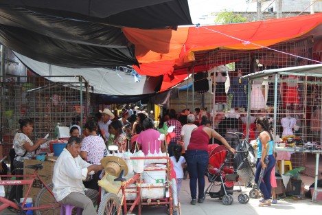 Las iglesias de Axochiapa, en el estado de Morelos, fueron las que tuvieron los principales daños por el sismo, así como algunas viviendas.