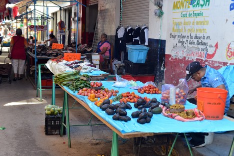 Las iglesias de Axochiapa, en el estado de Morelos, fueron las que tuvieron los principales daños por el sismo, así como algunas viviendas.
