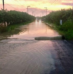 A consecuencia de las torrenciales lluvias de las últimas horas, los arroyos de respuesta rápida se desbordaron, ocasionando severas afectaciones en varios municipios de la Sierra Totonaca.