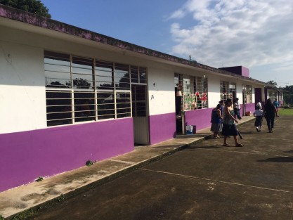 A decir de maestros de la escuela primaria Leona Vicario de Tepatlaxco, Ver., el edificio presentó daños tras los terremotos, por lo que Protección Civil municipal revisó y dictaminó que se trata sólo de grietas; sin embargo no garantizan que con otros siniestros no se presenten daños y se les recomendó reportar a Espacios Educativos.

