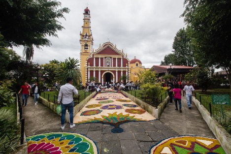 En el pueblo mágico de Coatepec se elaboraron alfombras multicolor de aserrín en honor a San Jerónimo, cuya fiesta se celebra el 30 de septiembre. 