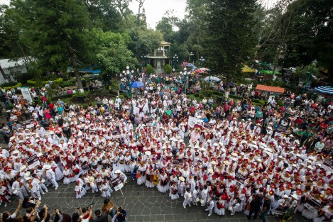 Como parte de los festejos en honor a San Jerónimo, en el pueblo mágico de Coatepec, se llevó a cabo el primer Jarochódromo convocado por La casa del Arpa y el gobierno muncipal, en donde participaron 24 ballets folclóricos de diferentes municipios del estado.
