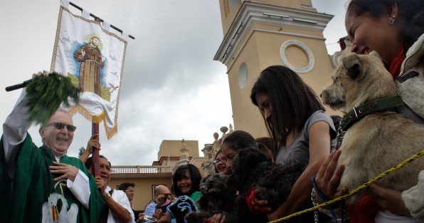 Como ya es tradición desde hace algunos años, en la iglesia de San José, de la capital veracruzana, con motivo de las fiestas de San Francisco de Asís, patrono de los animales, plantas, y ecologistas, se llevó a cabo la bendición de animales.