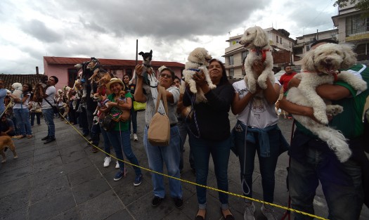 Decenas de mascotas, principalmente perros, recibieron la bendición, y se oró por quienes quieren y protegen la naturaleza, y se pidió para que quienes maltratan a los animales hagan conciencia del daño que hacen a estos seres, y cesen tales prácticas. 