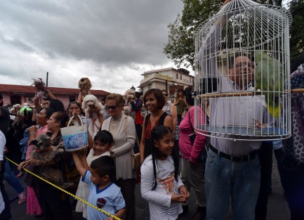 Decenas de mascotas, principalmente perros, recibieron la bendición, y se oró por quienes quieren y protegen la naturaleza, y se pidió para que quienes maltratan a los animales hagan conciencia del daño que hacen a estos seres, y cesen tales prácticas. 