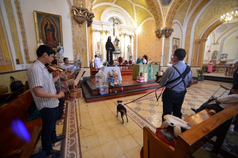 Como ya es tradición desde hace algunos años, en la iglesia de San José, de la capital veracruzana, con motivo de las fiestas de San Francisco de Asís, patrono de los animales, plantas, y ecologistas, se llevó a cabo la bendición de animales.