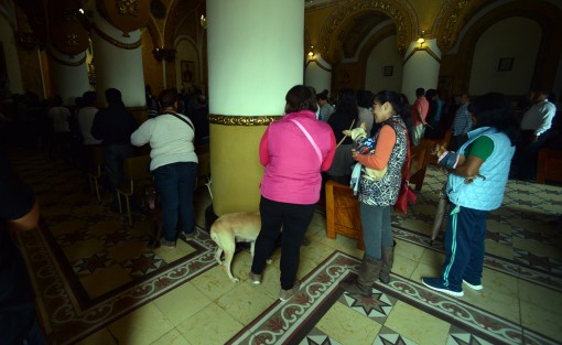 Como ya es tradición desde hace algunos años, en la iglesia de San José, de la capital veracruzana, con motivo de las fiestas de San Francisco de Asís, patrono de los animales, plantas, y ecologistas, se llevó a cabo la bendición de animales.