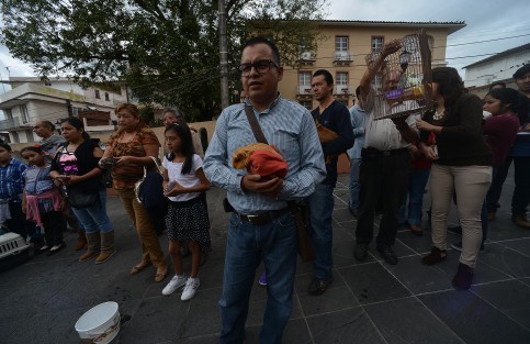 Como ya es tradición desde hace algunos años, en la iglesia de San José, de la capital veracruzana, con motivo de las fiestas de San Francisco de Asís, patrono de los animales, plantas, y ecologistas, se llevó a cabo la bendición de animales.