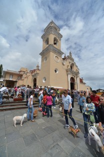 Como ya es tradición desde hace algunos años, en la iglesia de San José, de la capital veracruzana, con motivo de las fiestas de San Francisco de Asís, patrono de los animales, plantas, y ecologistas, se llevó a cabo la bendición de animales.