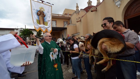 Como ya es tradición desde hace algunos años, en la iglesia de San José, de la capital veracruzana, con motivo de las fiestas de San Francisco de Asís, patrono de los animales, plantas, y ecologistas, se llevó a cabo la bendición de animales.