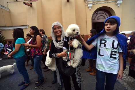 Como ya es tradición desde hace algunos años, en la iglesia de San José, de la capital veracruzana, con motivo de las fiestas de San Francisco de Asís, patrono de los animales, plantas, y ecologistas, se llevó a cabo la bendición de animales.
