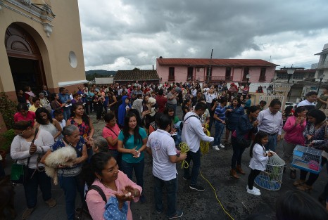Como ya es tradición desde hace algunos años, en la iglesia de San José, de la capital veracruzana, con motivo de las fiestas de San Francisco de Asís, patrono de los animales, plantas, y ecologistas, se llevó a cabo la bendición de animales.