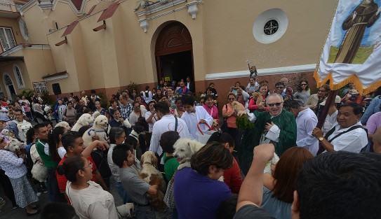 Como ya es tradición desde hace algunos años, en la iglesia de San José, de la capital veracruzana, con motivo de las fiestas de San Francisco de Asís, patrono de los animales, plantas, y ecologistas, se llevó a cabo la bendición de animales.