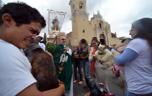 Como ya es tradición desde hace algunos años, en la iglesia de San José, de la capital veracruzana, con motivo de las fiestas de San Francisco de Asís, patrono de los animales, plantas, y ecologistas, se llevó a cabo la bendición de animales.
