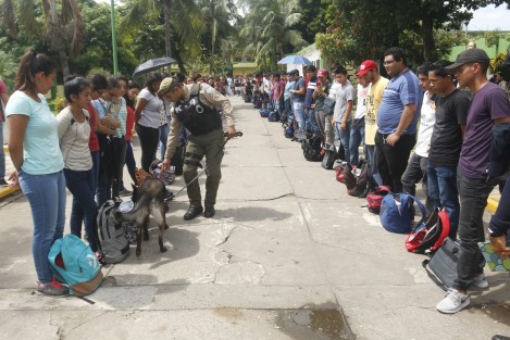 Personal de la MARINA, Policía Federal, Fuerza Civil y SSP, realizaron un operativo mochila a estudiantes del Instituto Tecnológico de Veracruz, con el apoyo de binomios caninos en busca de drogas y armas.