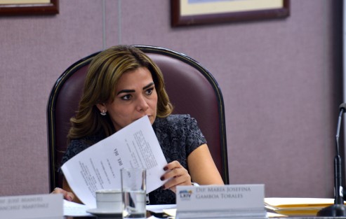 A la diputada María Josefina Gamboa se le nota preocupada.
