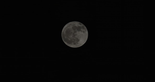 Además, ya que se eleva al atardecer, la luna de cosecha a menudo toma un tono naranja. El efecto total es como el de una calabaza gigante en el cielo. Una vista apropiada para disfrutar la temporada de otoño. 
