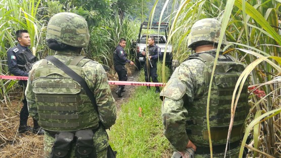 Fuerte movilización de corporaciones policiacas causó el hallazgo de dos cuerpos putrefactos en el municipio de Amatlán de los Reyes, al parecer ejecutados, encontrados en una vereda, entre cañaverales.
