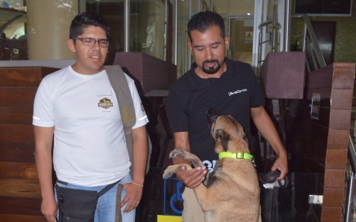 Shira rescató 7 personas con vida y tres cadáveres en el sismo del pasado 19 de septiembre en la Ciudad de México. 