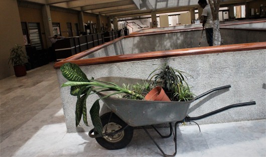 Las únicas plantas nuevas en el Congreso del Estado son éstas. Según...