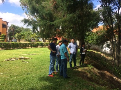 El Ayuntamiento de Xalapa inició un procedimiento administrativo para sancionar a los vecinos del fraccionamiento Vista Hermosa Ánimas, quienes talaron algunos árboles de un área verde sin contar con los permisos correspondientes, informó el Subdirector de Medio Ambiente, Sergio Angón Rodríguez.
