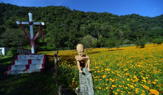 Don Víctor además nos comenta que cada vez son más las personas que acuden a tomarse fotos en estos días, debido a la belleza del lugar en esta temporada.
