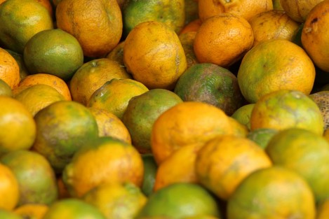 Crisis en los productos del campo Tlapacoyense, principalmente en la mandarina que no tiene mercado. 