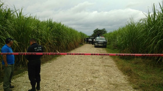 El cuerpo sin vida de una persona del sexo masculino fue encontrado entre unos cañales de la localidad de La Concepción, municipio de Yanga; presentaba huellas de violencia; junto a él una cartulina con amenazas entre grupos delictivos, elementos de la Policía Municipal y Estatal acordonaron el lugar, autoridades ministeriales tomaron conocimiento.