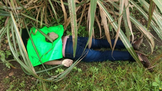 El cuerpo sin vida de un hombre fue hallado al mediodía de este martes entre unos cañales de la localidad de La Concepción, el cuerpo presentaba impactos de bala y huellas de tortura así como una cartulina con amenazas.