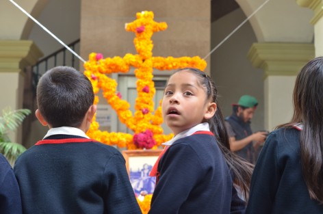 Fue inaugurada la Feria Regional del pan y el tamal, con muestra de altares y tamales de diversas regiones como Naolinco, Poza Rica, Banderilla, Xalapa; también se pudo apreciar la creatividad de los jóvenes participantes quienes lucieron ataviados de catrinas.
