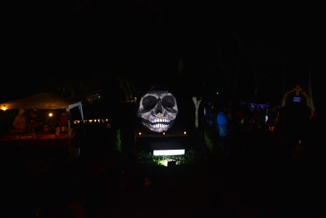 En el parque Bicentenario inició el Festival Cultural Mictlán 2017, donde se realizan representaciones cuyo contenido se relaciona con las festividades de Día de Muertos. El festival durará hasta el 5 de Noviembre. 