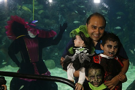 Como parte de la celebración del Día de Muertos, el Acuario de Veracruz presenta el Show de la Catrina Acuática en la pecera arrecifal.  