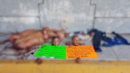 Dos cuerpos desmembrados fueron hallados la madrugada de este domingo junto con dos cartulinas debajo del puente de Paso del Toro, Ver.  los cadáveres corresponden a dos hombres y en el mensaje dejado los señalan de haber cometido actos fuera de la ley.