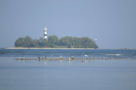 Bañistas disfrutan del fenónemo de Marea Baja provocado por la actividad lunar. Los asistentes a la playa pueden caminar y explorar sitios que en días comunes son de difícil acceso.