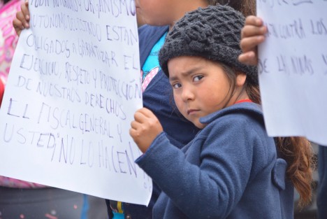 Familias del municipio de Acajete se manifestaron esta mañana en Plaza Lerdo acompañados de sus hijos, ya que en días pasados les decomisaron bestias y madera de la labor con la cual subsisten.
