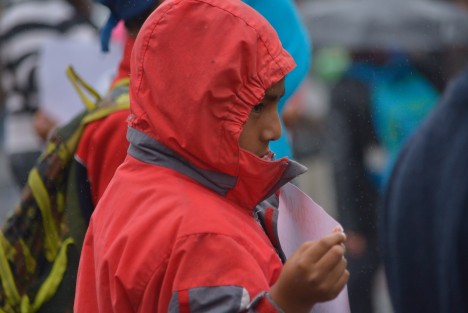 Familias del municipio de Acajete se manifestaron esta mañana en Plaza Lerdo acompañados de sus hijos, ya que en días pasados les decomisaron bestias y madera de la labor con la cual subsisten. Piden a la Fiscalía actuar de manera correcta pues en esta región del estado las oportunidades laborales no existen, y la venta de madera es una opción para sobrevivir a la pobreza.