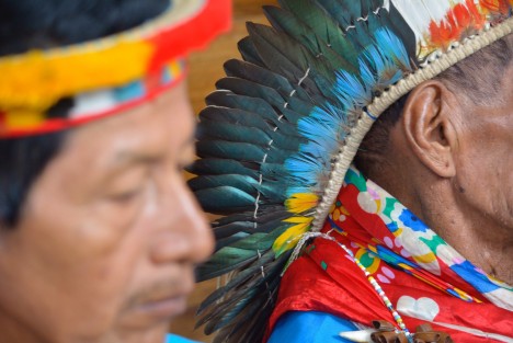 El Taita Querubín Queta Alvarado Putumayo, originario de la región del Amazonas colombiano, dará una conferencia acompañado por sus hijos y nietos sucesores Taita, quienes practican la medicina tradicional.
