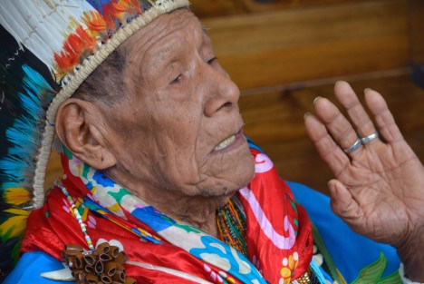 El Taita, con 104 años de edad, hablará sobre el poder de las plantas y su uso.