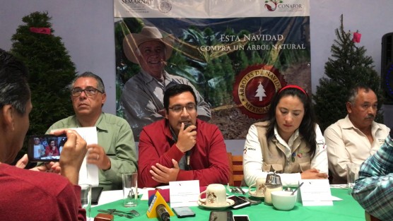 Productores silvícolas de la región del Valle y Cofre de Perote, anunciaron la consolidación de la Cadena Productiva Navigueña S.P. de R.L., a través de la cual están ofertando desde el 15 de noviembre y hasta el 15 de diciembre, árboles navideños en ranchos silvícolas de Las Vigas, Perote, Altotonga, Villa Aldama y Acajete.