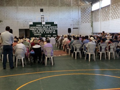 Productores de plátano reciben pago de seguro catastrófico, después de meses de espera del apoyo, todavía tuvieron que esperar casi dos horas a los representantes de SEDARPA. Joaquín Rosendo Guzmán no llegó por andar acompañando a su jefe al informe del poder Judicial. 
