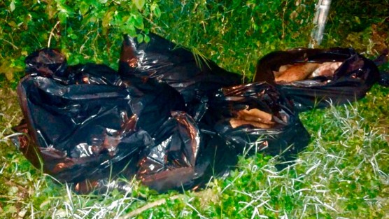 Macabro hallazgo realizaron policías la noche de este domingo en la colonia Álvaro Obregón, de Xalapa, Ver., al descubrir once bolsas con restos humanos, las cuales fueron abandonadas en un camino de terracería.