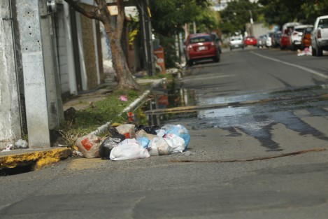 Algunas colonias y fraccionamientos de Boca del Río, como La Tampiquera y Estatuto Jurídico, se encuentran llenas de basura. Los camiones recolectores no han levantado los desechos y esto atrae a perros hambrientos y fauna nociva.